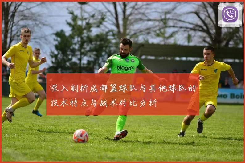 深入剖析成都篮球队与其他球队的技术特点与战术对比分析